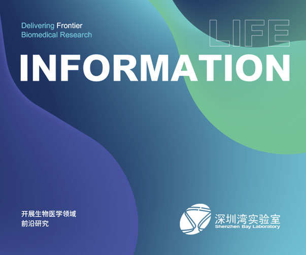 廈門(mén)標(biāo)志設(shè)計(jì)：華僑文化與現(xiàn)代都市的多元融合